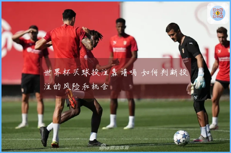 世界杯买球投注靠谱吗 如何判断投注的风险和机会