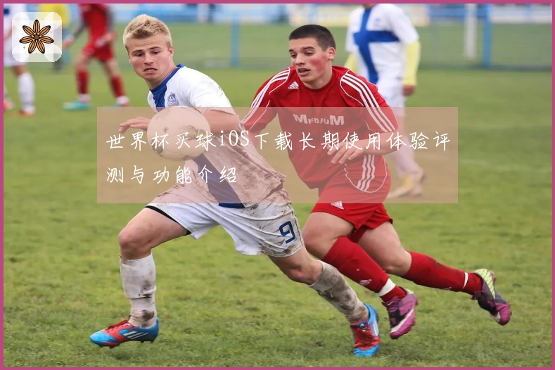 世界杯买球iOS下载长期使用体验评测与功能介绍