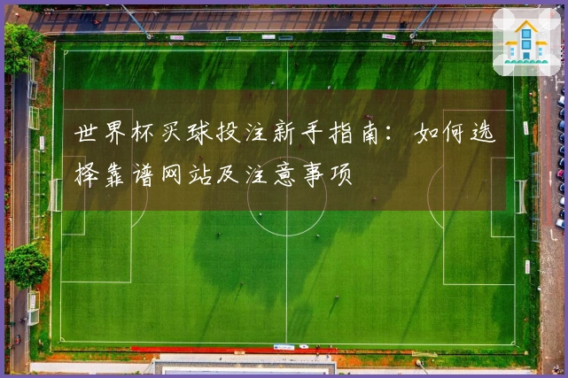 世界杯买球投注新手指南：如何选择靠谱网站及注意事项