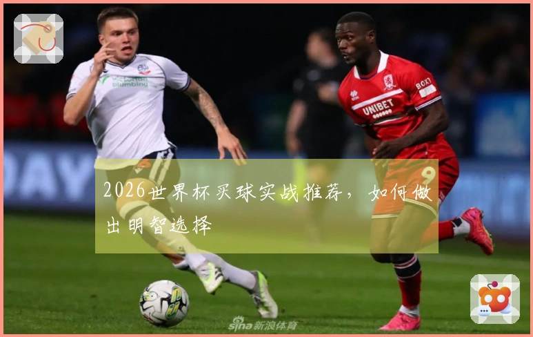 2026世界杯买球实战推荐，如何做出明智选择