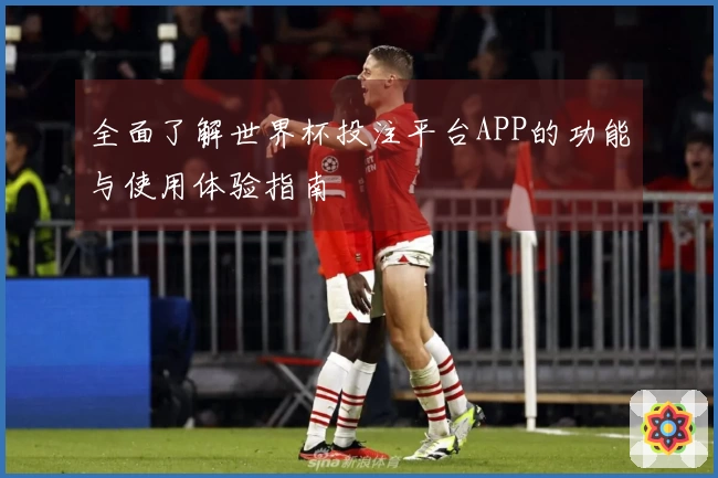 全面了解世界杯投注平台APP的功能与使用体验指南