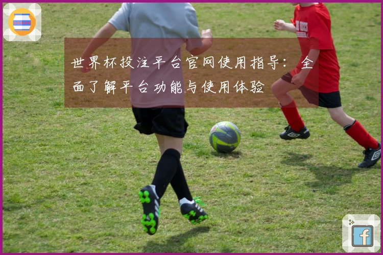 世界杯投注平台官网使用指导：全面了解平台功能与使用体验