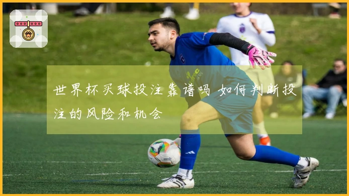 世界杯买球投注靠谱吗 如何判断投注的风险和机会