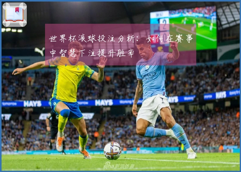世界杯滚球投注分析：如何在赛事中智慧下注提升胜率