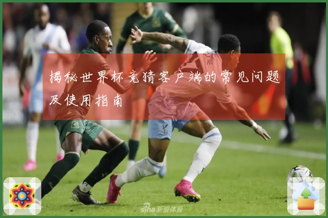 揭秘世界杯竞猜客户端的常见问题及使用指南