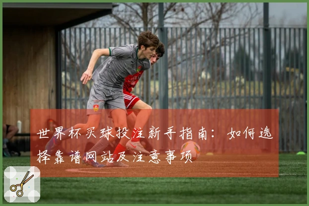 世界杯买球投注新手指南：如何选择靠谱网站及注意事项