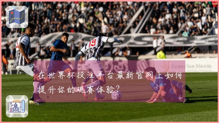 在世界杯投注平台最新官网上如何提升你的观赛体验？