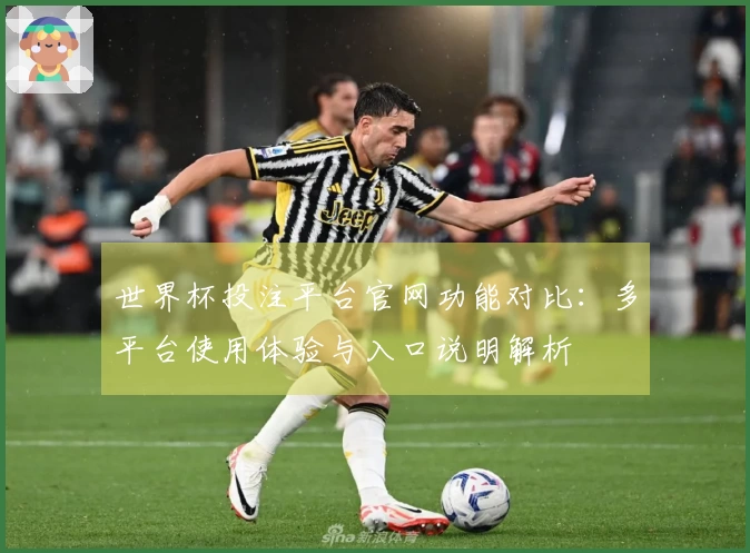 世界杯投注平台官网功能对比：多平台使用体验与入口说明解析