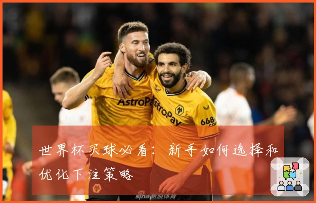 世界杯买球必看：新手如何选择和优化下注策略