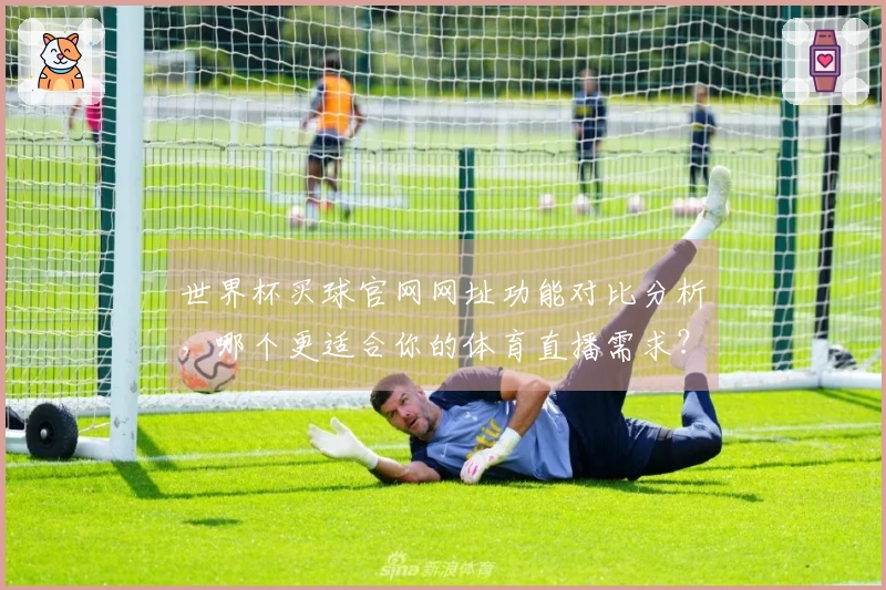 世界杯买球官网网址功能对比分析，哪个更适合你的体育直播需求？