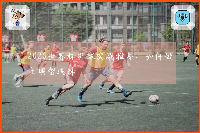 2026世界杯买球实战推荐，如何做出明智选择