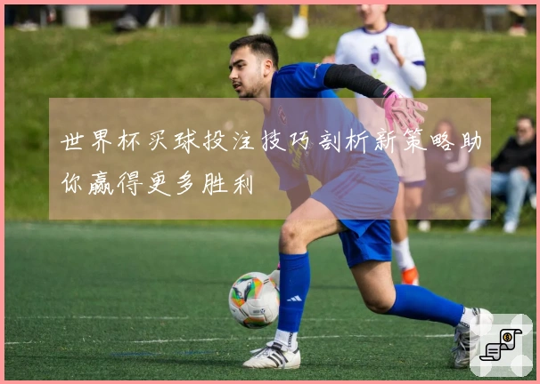 世界杯买球投注技巧剖析新策略助你赢得更多胜利