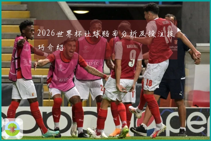 2026世界杯让球赔率分析及投注技巧介绍