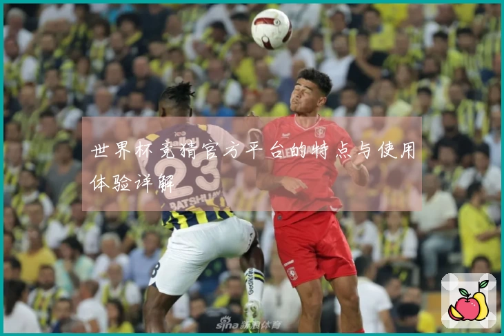 世界杯竞猜官方平台的特点与使用体验详解