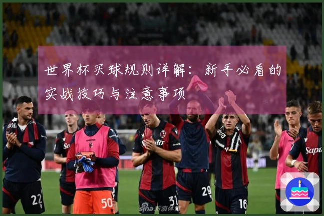 世界杯买球规则详解：新手必看的实战技巧与注意事项