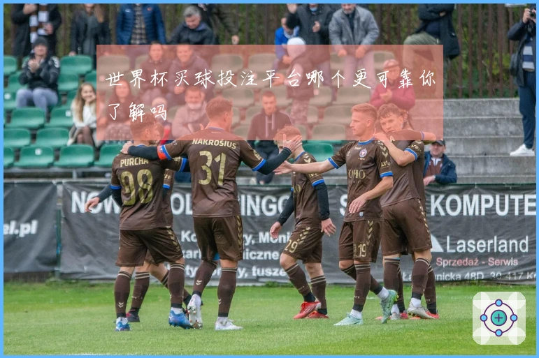 世界杯买球投注平台哪个更可靠你了解吗
